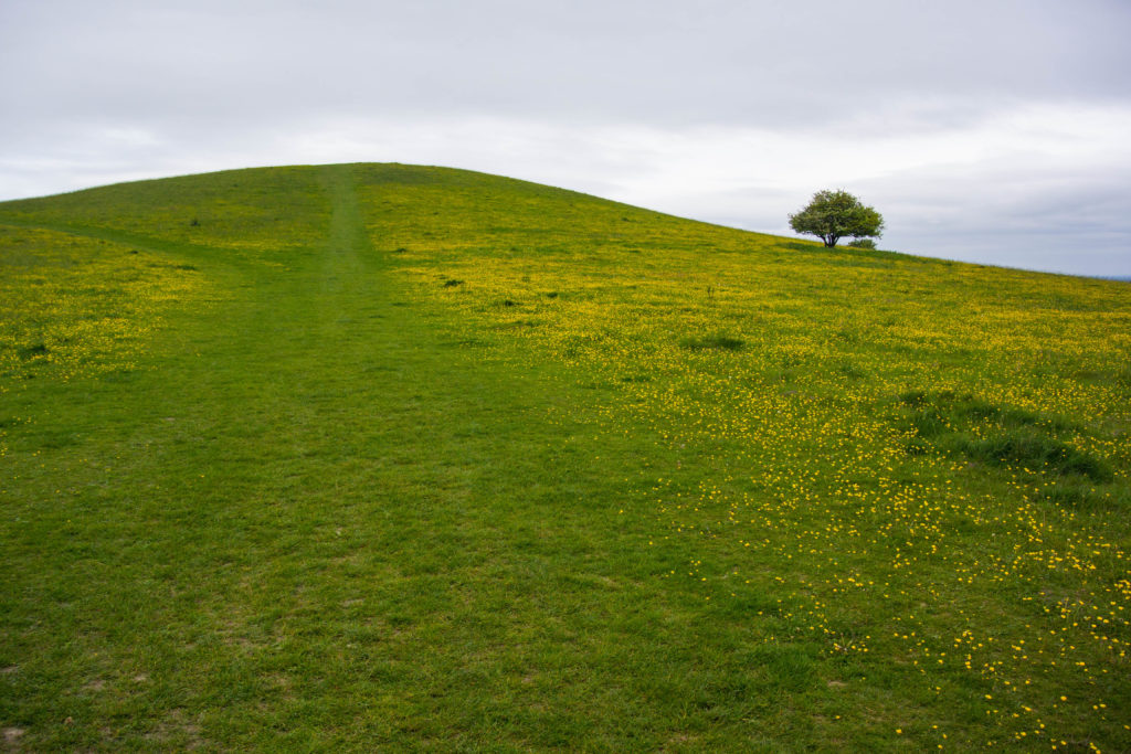 mountain biking chiltern hills